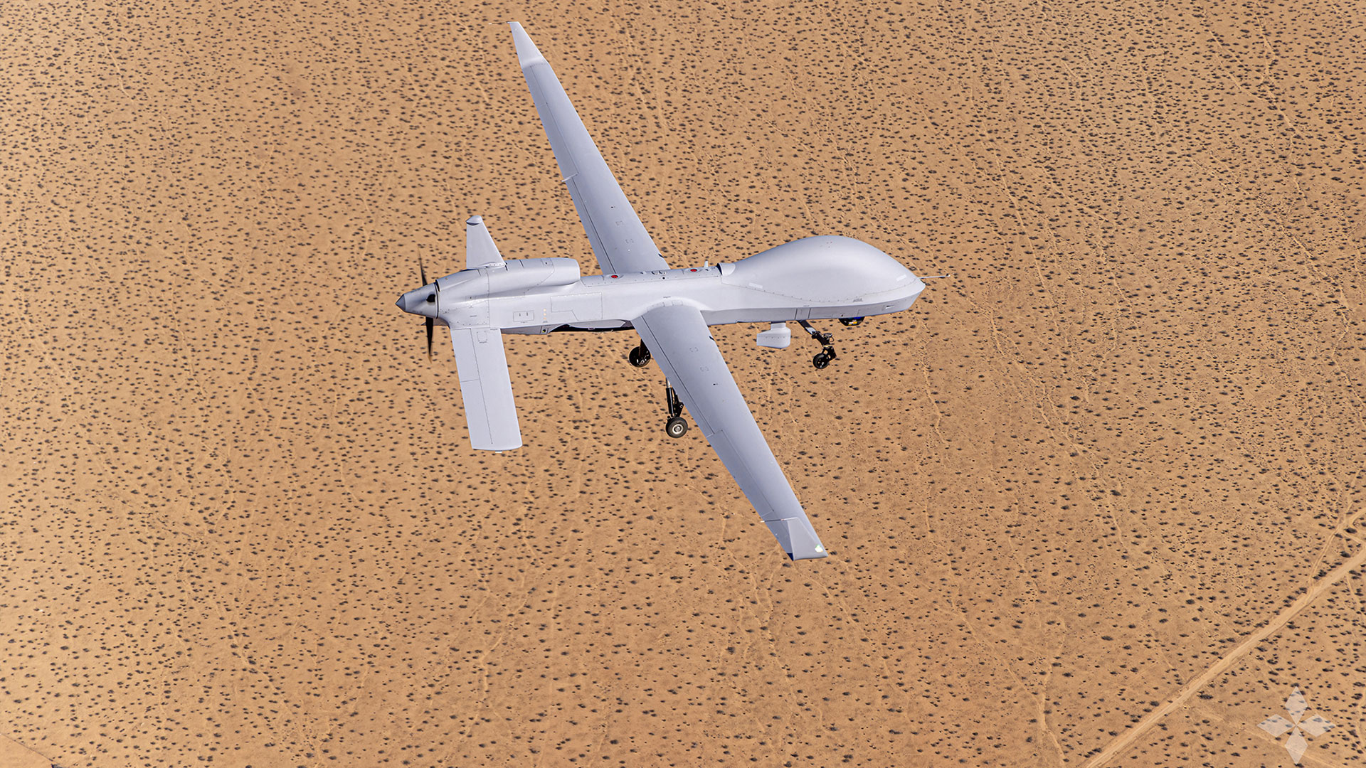Gray Eagle 25M
